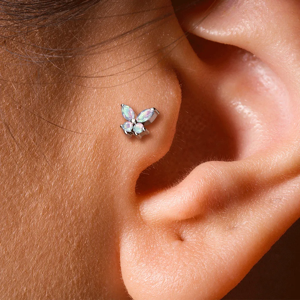 Bilpa Butterfly Body Jewellery with Rose Gold Plating. Labret, Monroe, Tragus and Cartilage Earrings.