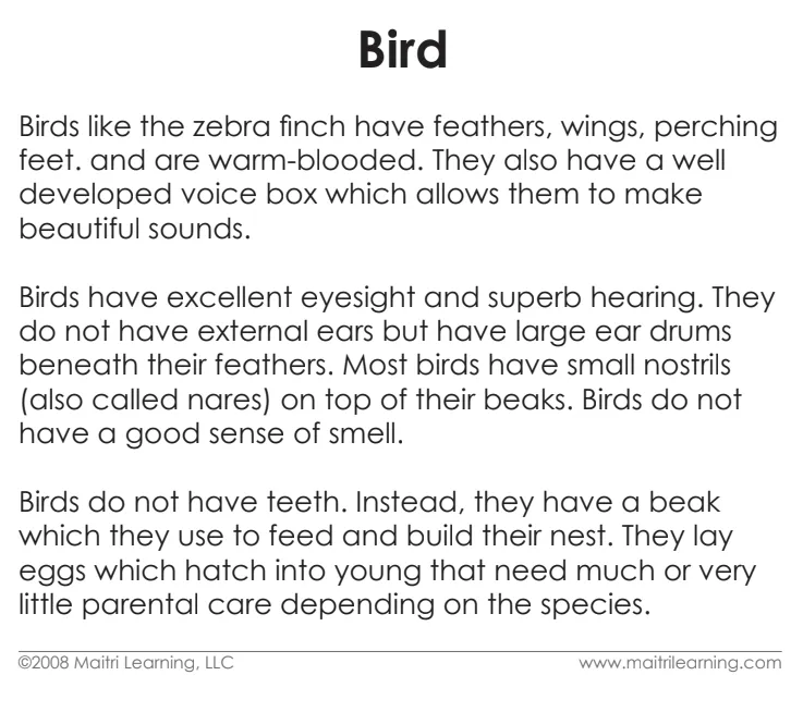 Cardstock Parts of the Bird 3-Part reading cards