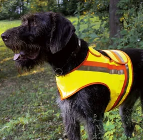 Reflective Vest