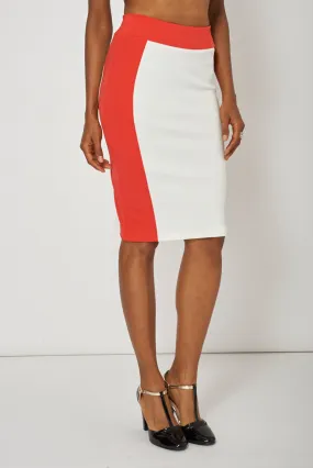 Two Tone Pencil Skirt