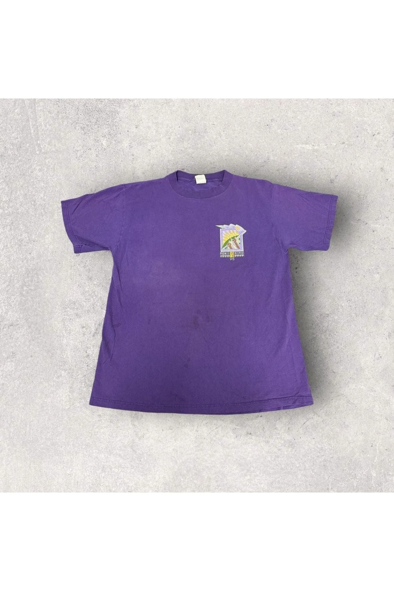 Vintage 1995 Promise Keepers Raise The Standard Tee- L