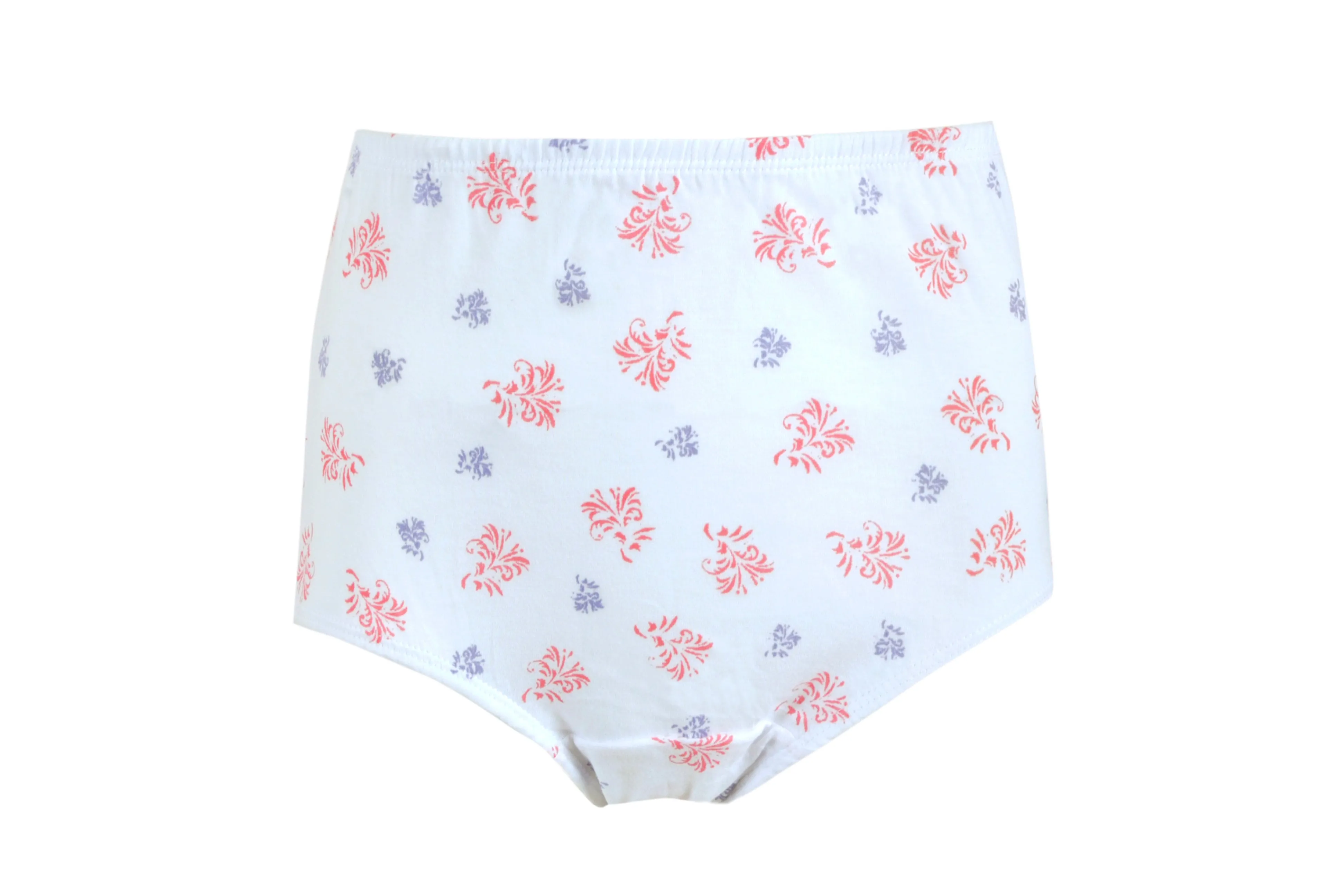 Women's Printed Maxi Briefs Underwear