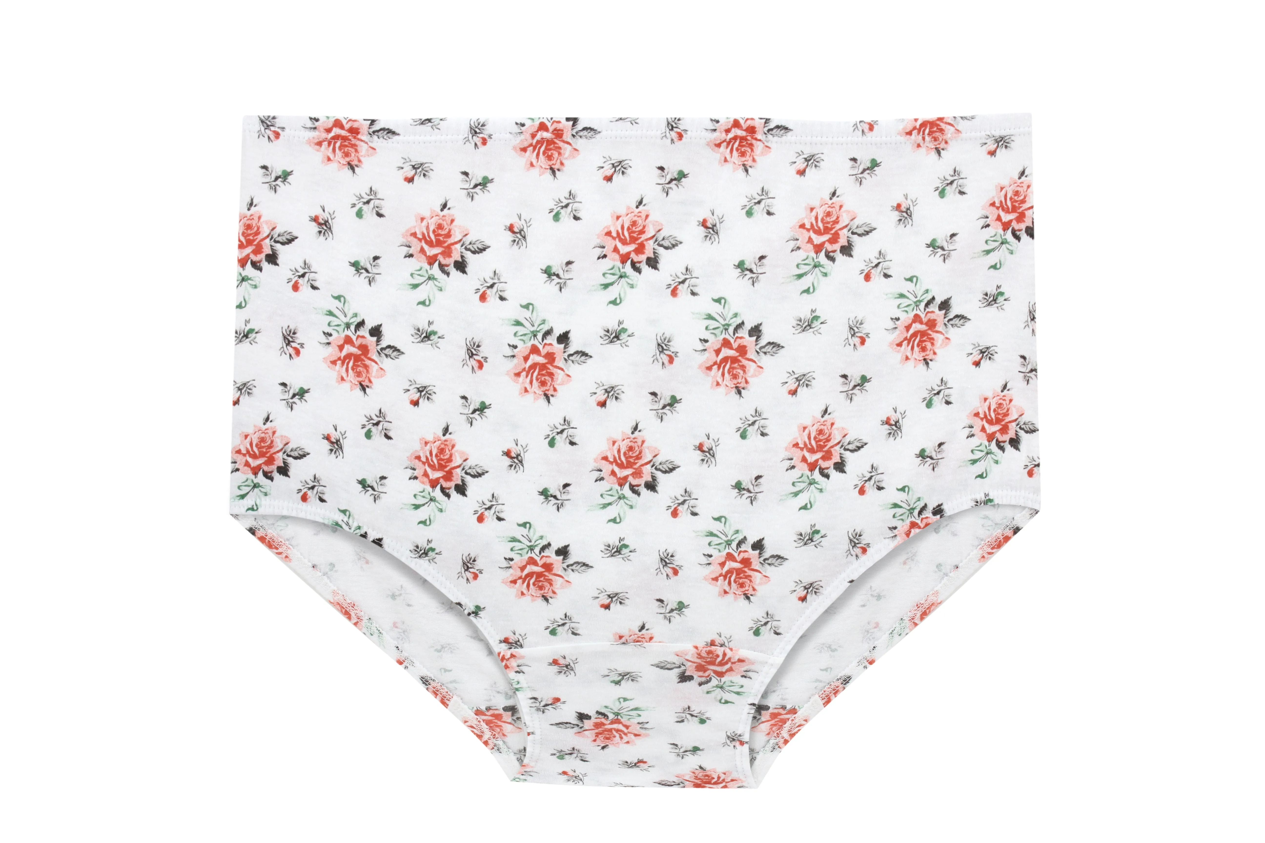 Women's Printed Maxi Briefs Underwear